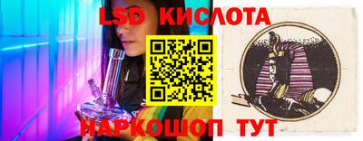 шишки Новокубанск