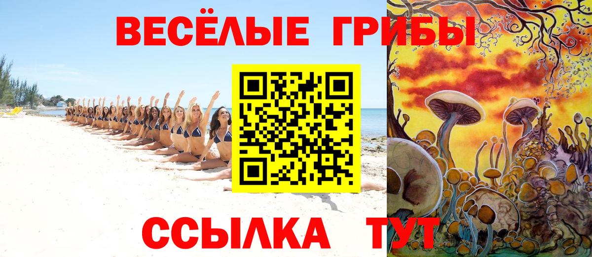 Псилоцибиновые грибы GOLDEN TEACHER Чита