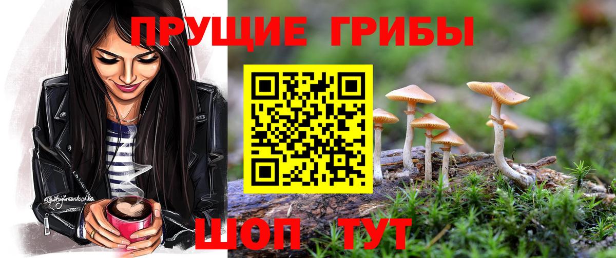 Псилоцибиновые грибы мицелий  Вход с VPN  закладка  Чита 